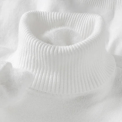 Savoni Wool Turtleneck